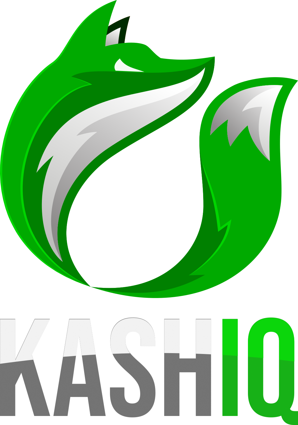 KashIQ - Esoscheletro Finanziario Offline-First & Free Fintech Engine